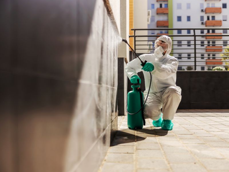 empresa desratizacion profesional